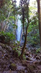 76_Jan16_waterfall_web_e