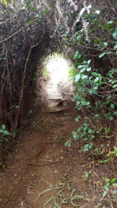 92_Jan17_passage_web_e