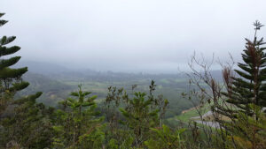 95_Jan17_view_wind_web_e