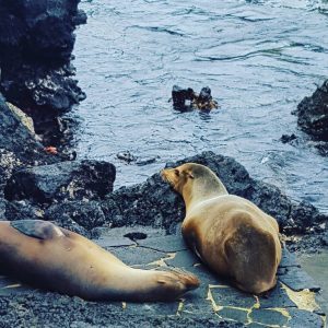 20210627_volcanoGalapagos82