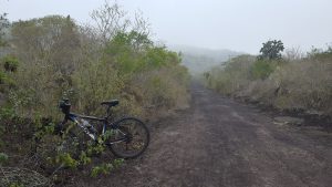 20210629_Galapagos27