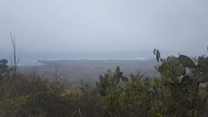 20210629_Galapagos30