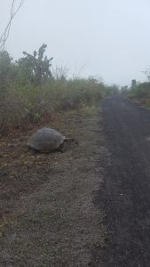 20210629_Galapagos32