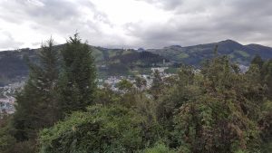 20210703_Quito39