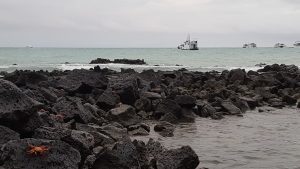 20210725_Galapagos1