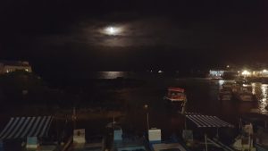 20210725_Galapagos4