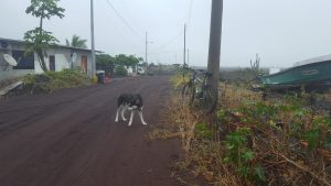 20210730_IsabelIslandGalapagos16
